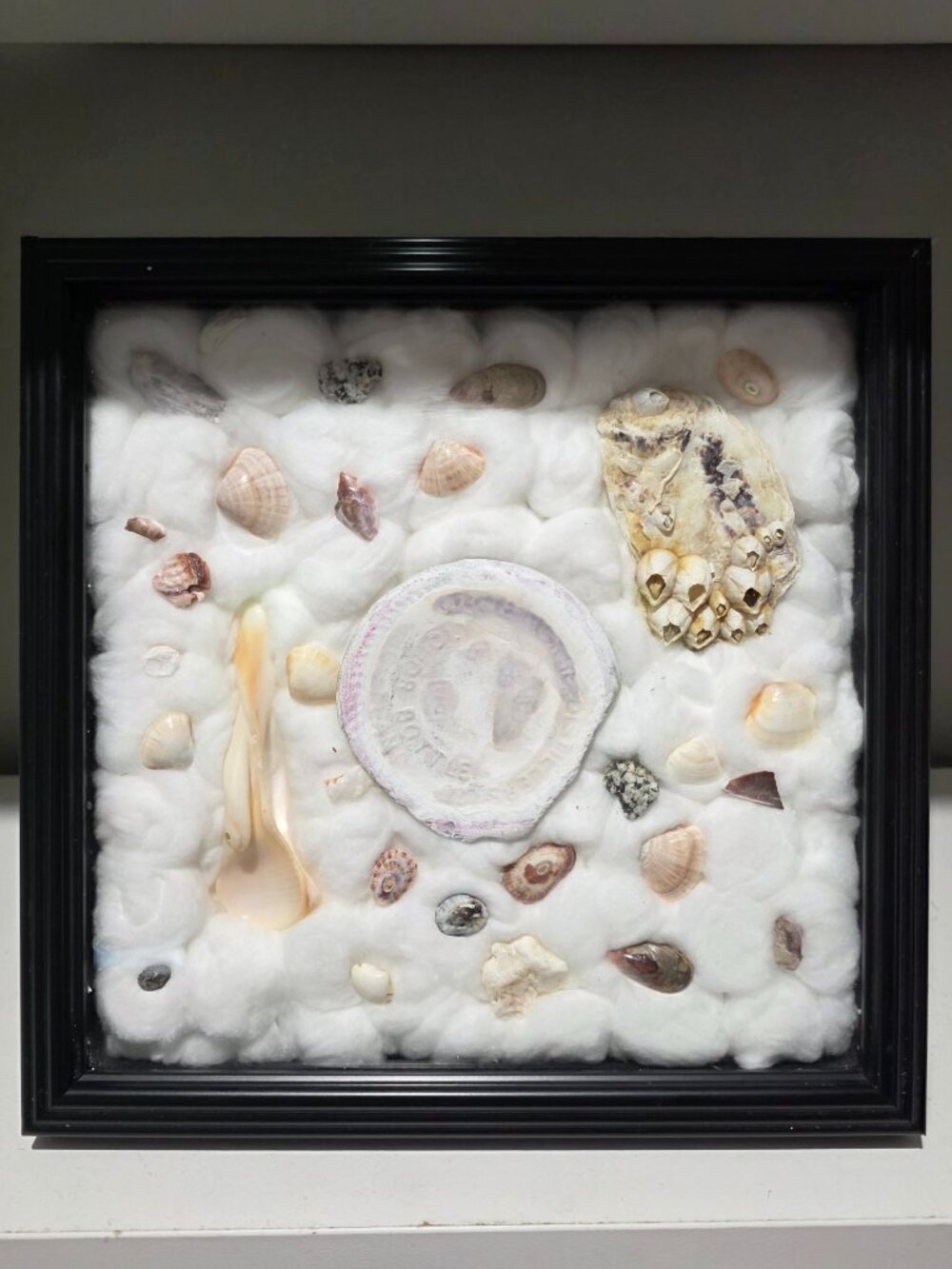 Vintage Seashell Shadow Box w White Horse Scotch Bottle Glass – 23 × 23 cm